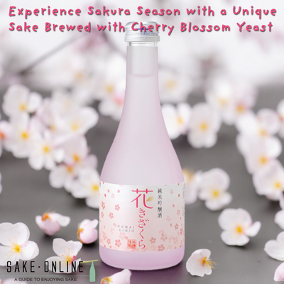 🌸 Experience Sakura Season with a Unique Sake Brewed with Cherry Blossom Yeast! 🌸