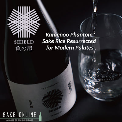 Sip into History: Kamenoo Phantom Sake Rice Resurrected for Modern Palates