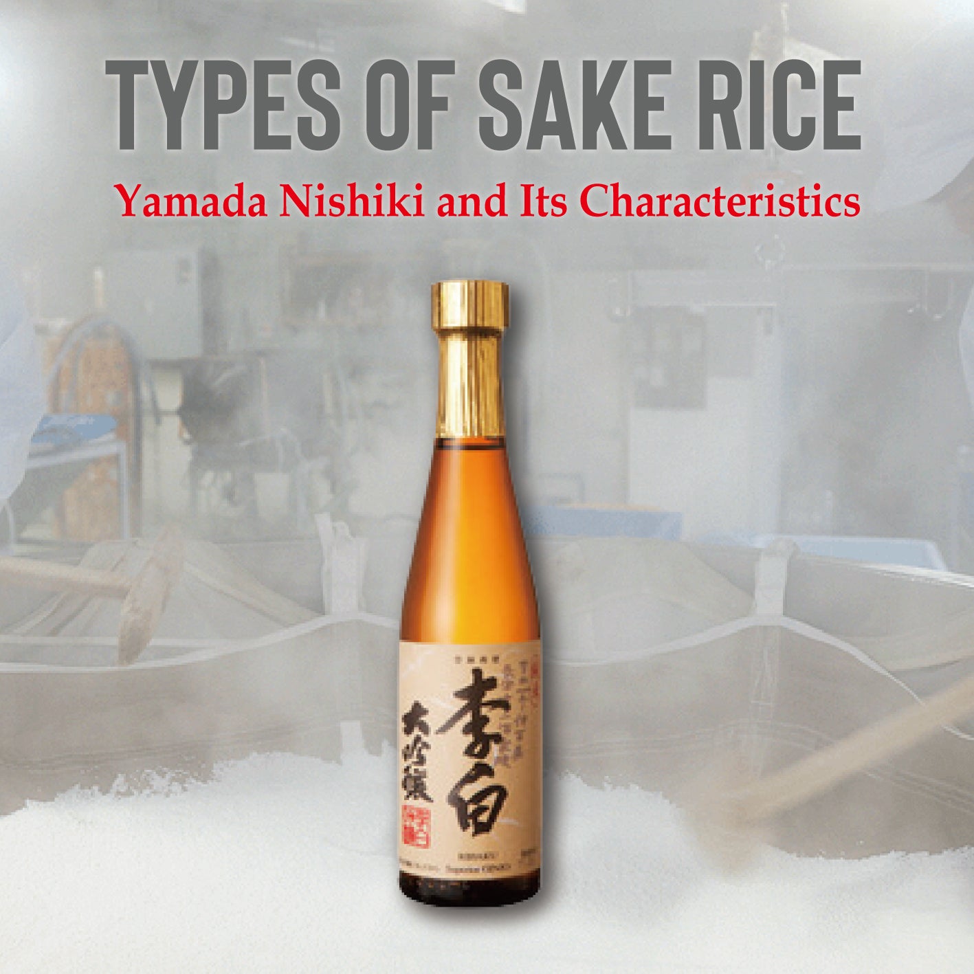 Types of Sake Rice: Yamada Nishiki and Its Characteristics – Sakeonline